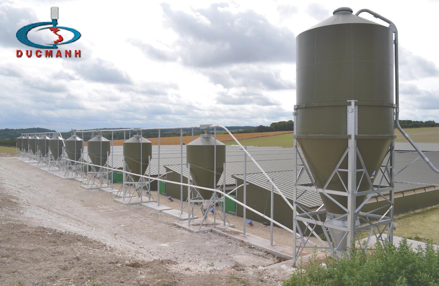 giá thành của silo chứa thức ăn chăn nuôi