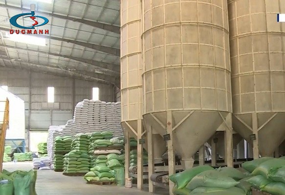 khái quát về silo chứa lúa gạo