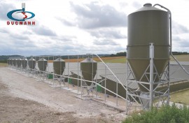 Silo Chứa Thức Ăn Chăn Nuôi | Thép Đức Mạnh | 0972706868